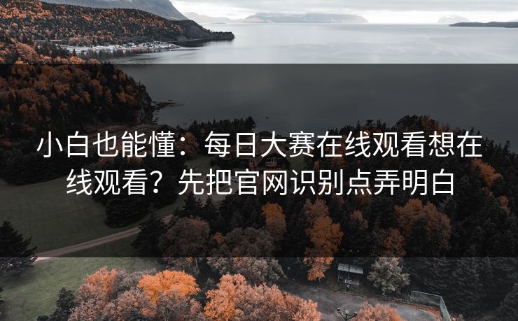 小白也能懂：每日大赛在线观看想在线观看？先把官网识别点弄明白